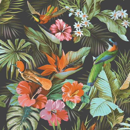 Paradise Birds Vasari Wallpaper - Black Multi - Rasch - 539059Wallpaper199