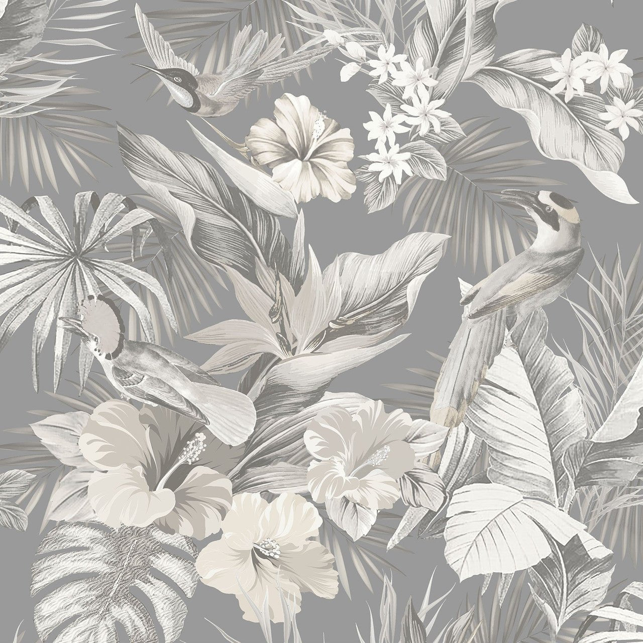 Paradise Birds Vasari Wallpaper - Grey - Rasch - 539073Wallpaper199
