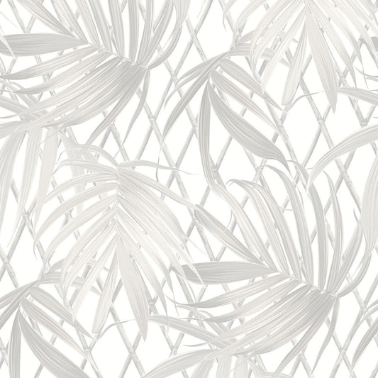 Paradise Palm Vasari Wallpaper - Neutral - Rasch - 539530Wallpaper199