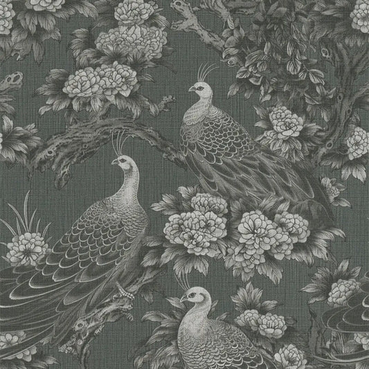 Peacock Garden Wallpaper - Grey/Black - Michalsky Living - 39981-5Wallpaper199
