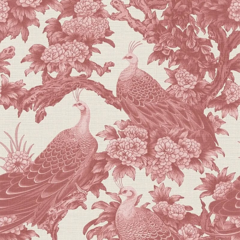 Peacock Garden Wallpaper - Red/Cream - Michalsky Living - 39982-4Wallpaper199