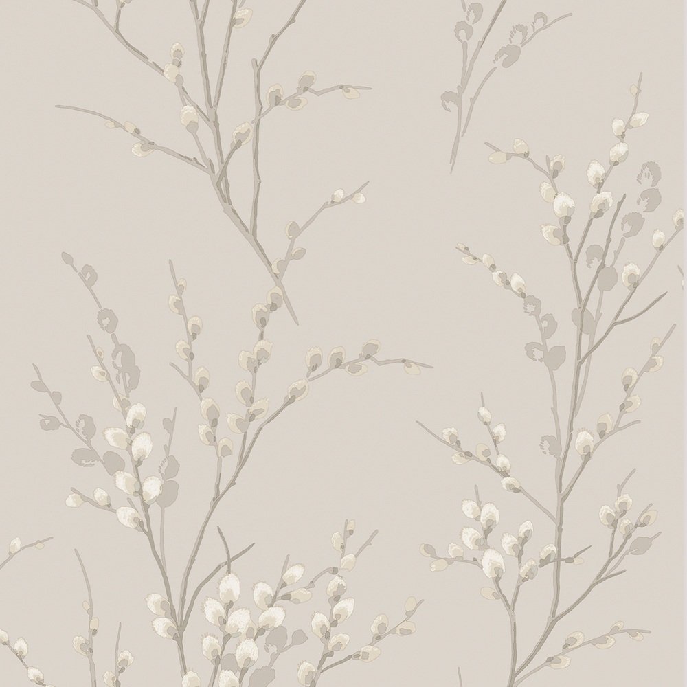 Pussy Willow Wallpaper - Dove Grey - Laura Ashley - 113361Wallpaper199