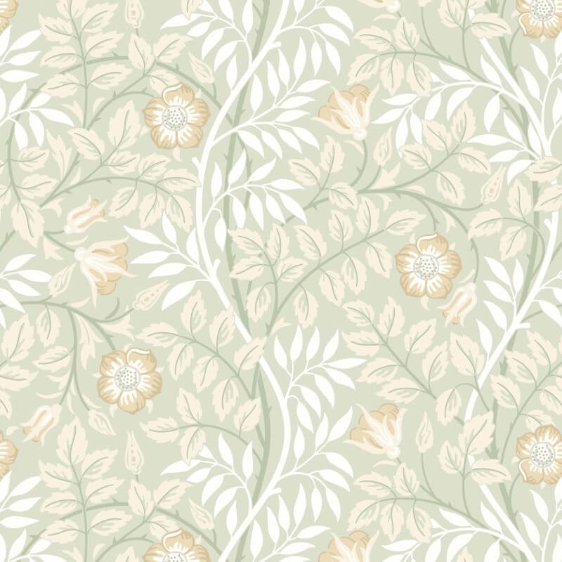 Rosehip Trail Wallpaper - Sage Green - Hoopla Walls - HWA1092WWallpaper199