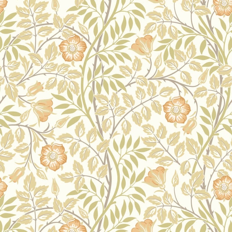 Rosehip Trail Wallpaper - Soft Amber - Hoopla Walls - HWA1087WWallpaper199