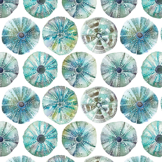 Sea Urchin Wallpaper - Kelpie - Voyage Maison - SEAURCH/WPO/KELWallpaper199
