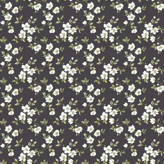 Secret Garden Anemone Mini Wallpaper - Black / Green / Taupe - Galerie - G78480Wallpaper199