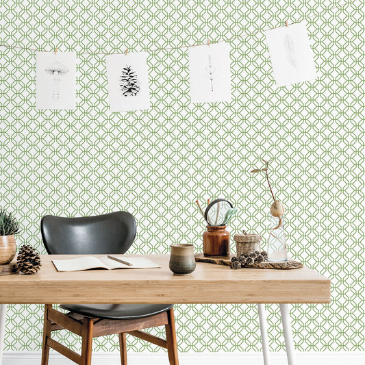 Secret Garden Trellis Negative Wallpaper - Fresh Green - Galerie - G78528Wallpaper199