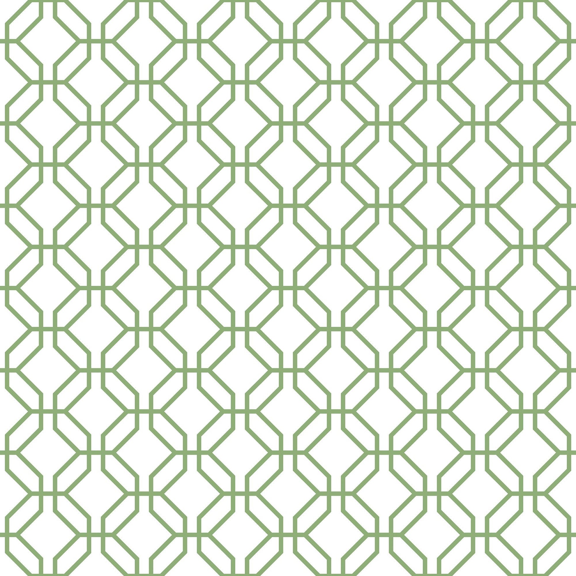 Secret Garden Trellis Negative Wallpaper - Fresh Green - Galerie - G78528Wallpaper199