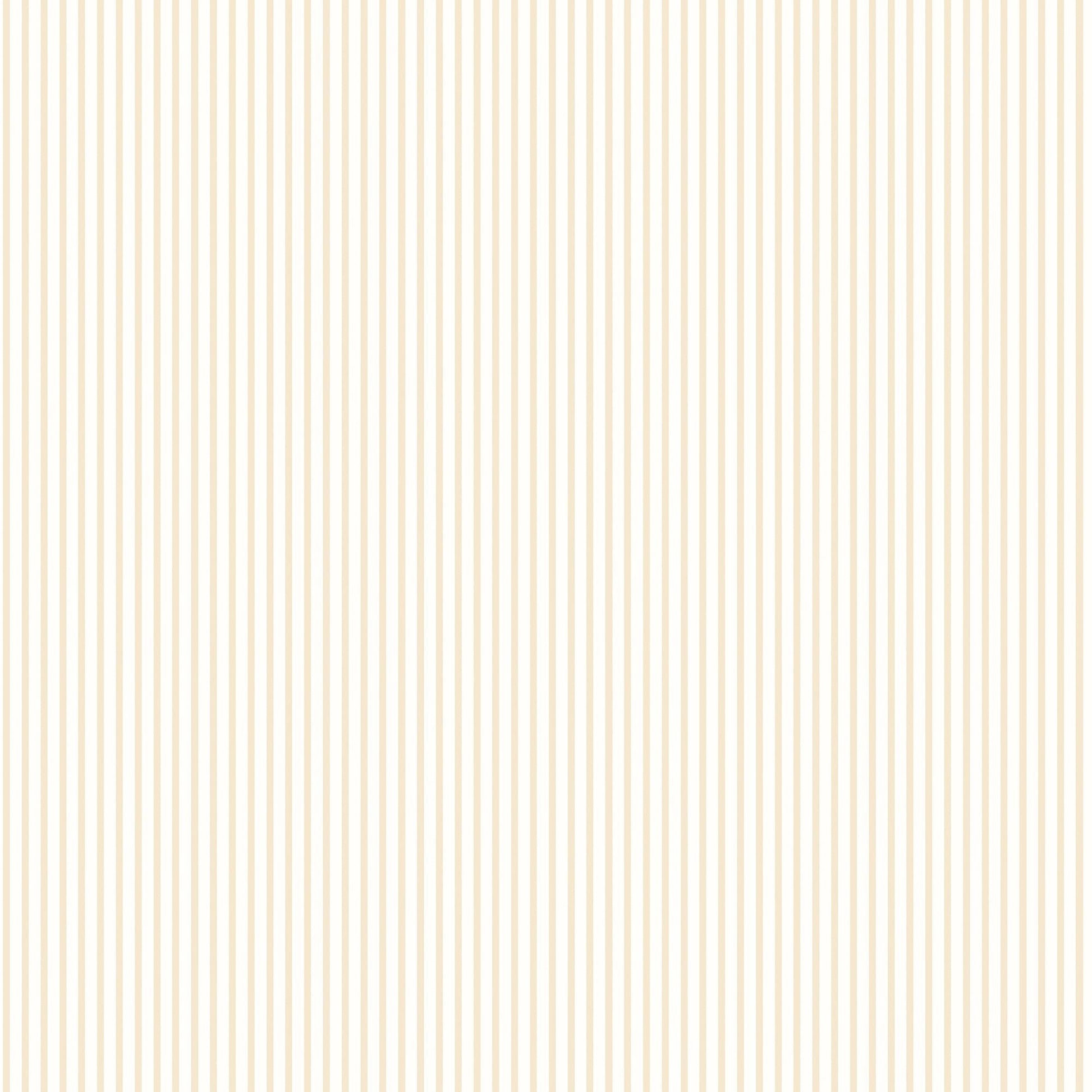 Small Prints Candy Stripe Wallpaper - Beige - Galerie - G56640Wallpaper199