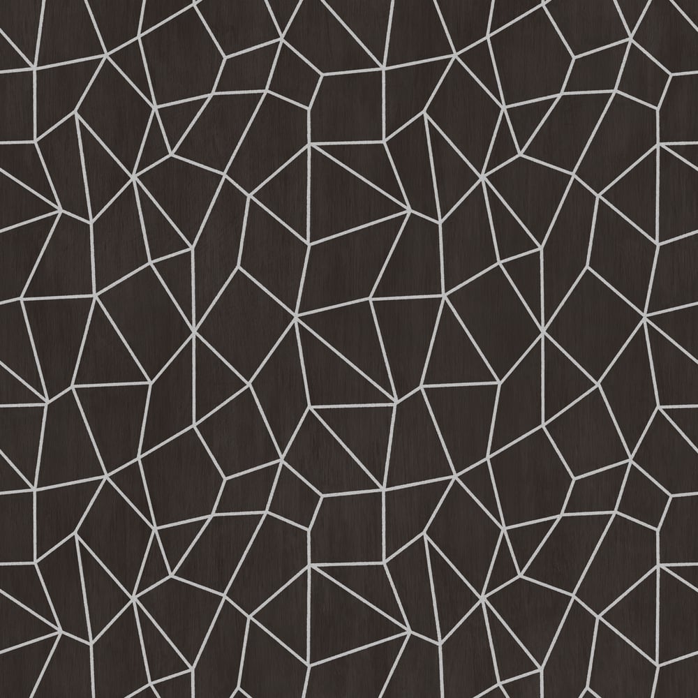 Special FX Metallic Web Effect Wallpaper - Silver / Black - Galerie - G67694Wallpaper199