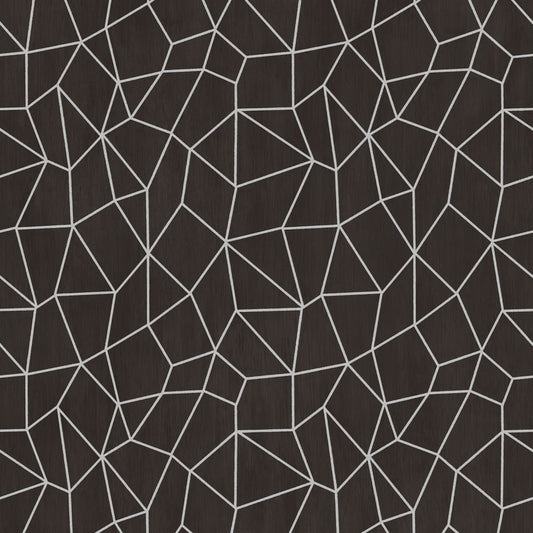 Special FX Metallic Web Effect Wallpaper - Silver / Black - Galerie - G67694Wallpaper199