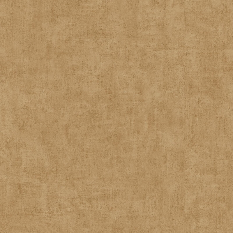 Young Edition Plain Wallpaper - Brown - Grandeco - A51516Wallpaper199