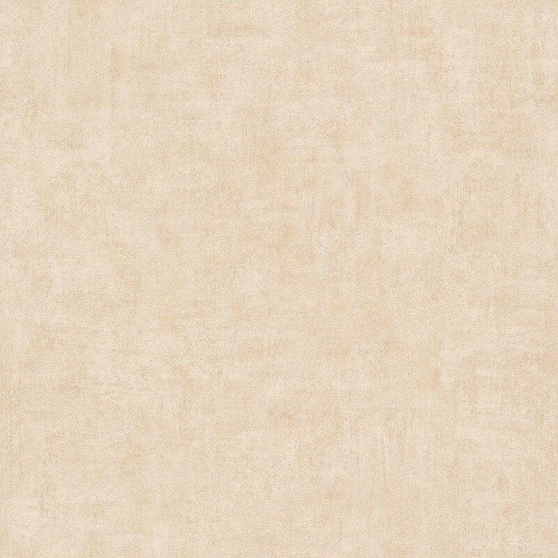 Young Edition Plain Wallpaper - Cream - Grandeco - A51511Wallpaper199