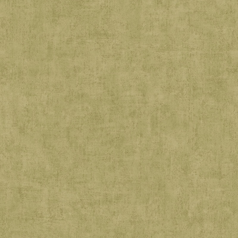 Young Edition Plain Wallpaper - Light Green - Grandeco - A51514Wallpaper199